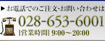 お問い合わせ 028-653-6001