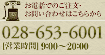 お問い合わせ 028-653-6001